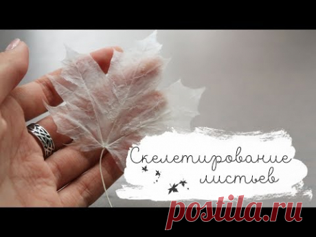 Когда загружала видео, поняла, что его название не подразумевает, что ответ на это будет в видео, а что это мой вопрос к вам, скорее)) ► Никакие особенные шт...