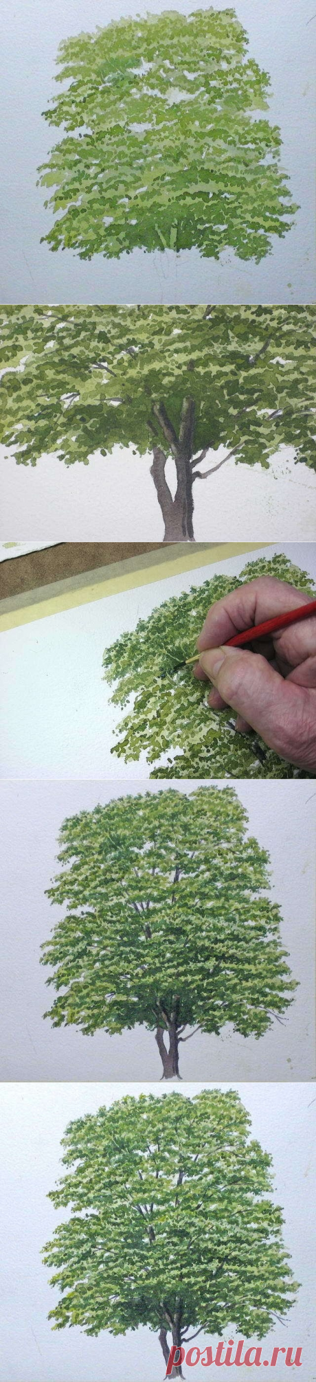 Пишем дерево акварелью