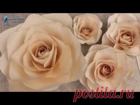 paper roses. Hướng dẫn làm hoa hồng bằng giấy cực dễ cực đẹp