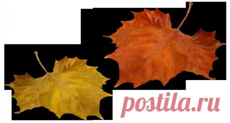 0_9ed58_fd3bc41d_orig (911×487)