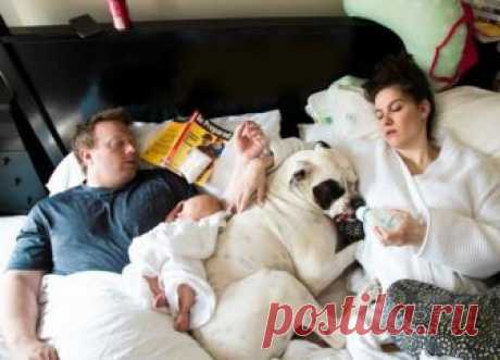 Законы семейной жизни, которые необходимо нарушать! | Женские секреты Когда влюбленные решают жить вместе, только ленивые не лезут в их мирок со своими советами. Со всех сторон буквально атакуют смешными запретами, странными установками, которые муж и жена «обязаны» соблюдать в семейной жизни, чтобы брак не превратился в труху. Мы решили добавить нотку юмора, показав всю нелепость таких наставлений. Готовы узнать правила, которые можно нарушать? …