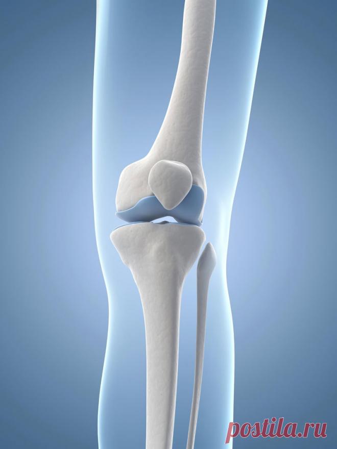 Почему вымывается кальций из организма