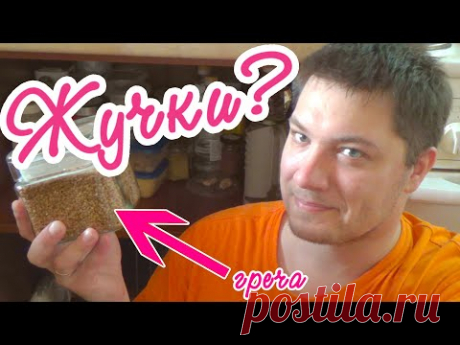 Что за жучки живут в муке и крупах. Как я избавился от мукоедов?