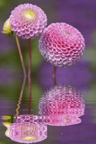 Лето
