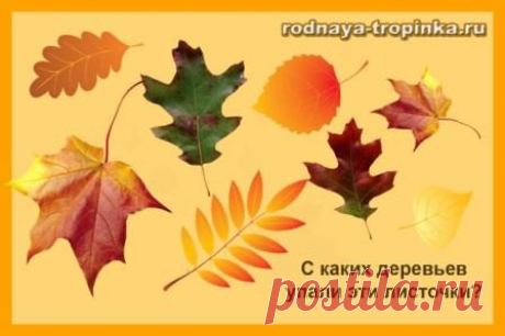 Деревья: картинки, сказки и развивающие задания для детей.