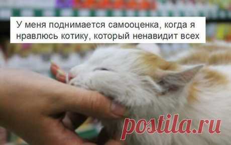 Весёлые картинки / Приколы