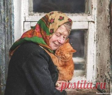 "Ей не с кем oставить кoта" В.Буткo
