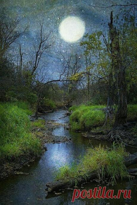 (277) Pinterest