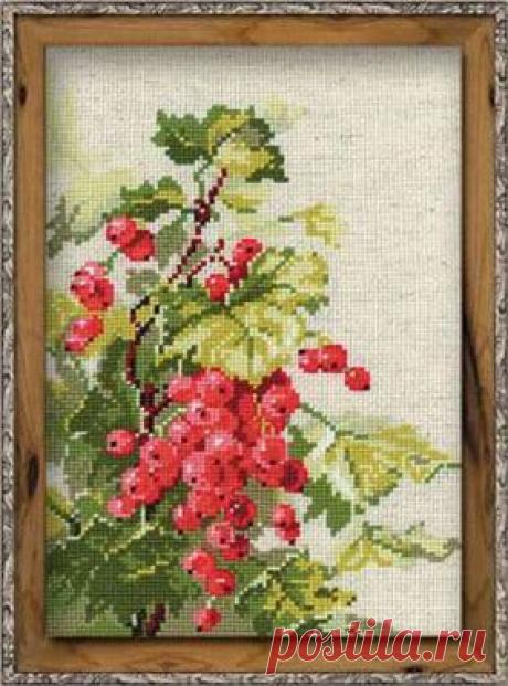 Фабрика Пряжи :: RIOLIS Сотвори сама(Цветочные композиции) :: №1060 &quot;Смородина&quot;