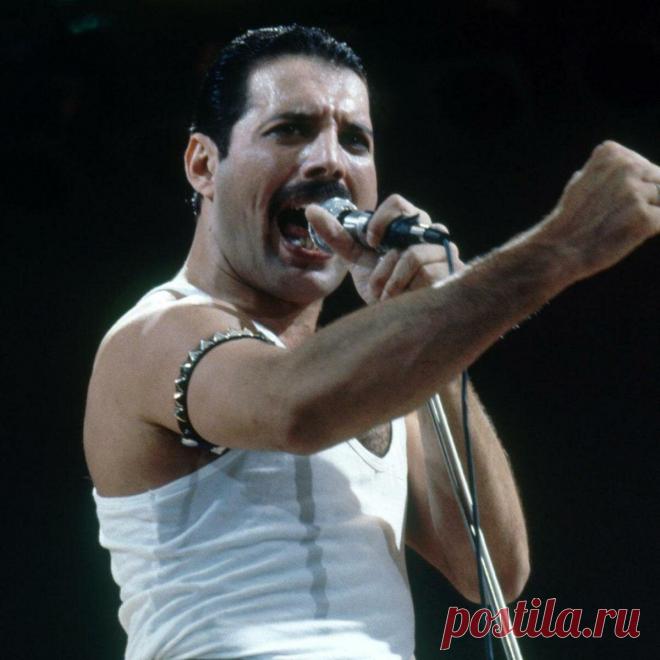 Какими на самом деле были отношения между Фредди Меркьюри и его товарищами по группе Queen