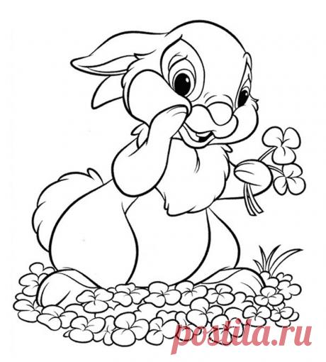 Раскраски зайцев скачать или распечатать