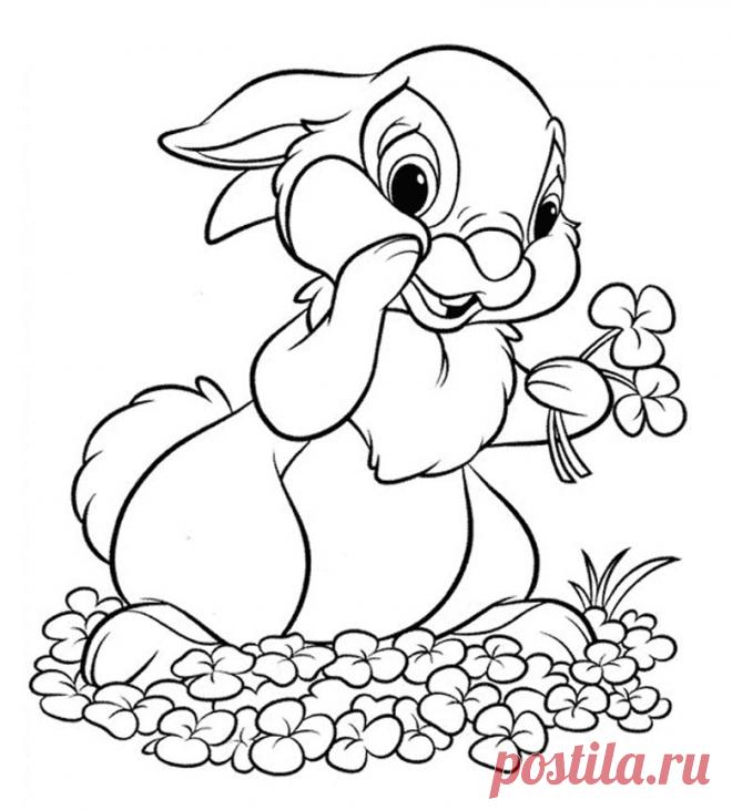 Раскраски зайцев скачать или распечатать