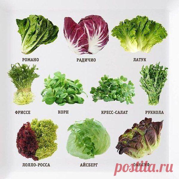 Светлана Батаева Петропавловск 47 лет - фото, профиль и страница женщины на Фотостране