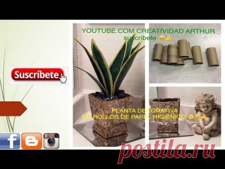 planta hecha con rollos de papel higiénico - YouTube