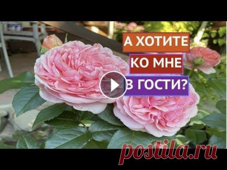 ПОКАЗЫВАЮ СВОЙ УЧАСТОК! РАССКАЗЫВАЮ КАК ВСЕ ОБУСТРАИВАЛА! Я рада всех приветствовать на канале Садовый Гид! Друзья, сегодня у нас необычный ролик: мы не будем ни с кем бороться, не будем ничего обрабатывать и...