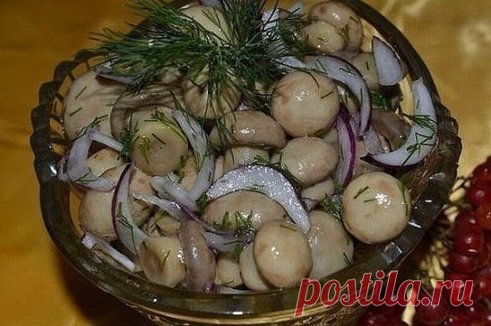 МАЛОСОЛЬНЫЕ ШАМПИНЬОНЫ на скорую руку — мировой рецептик!
Рецепт просто сногсшибательный! Все наши гости говорят, что магазинные маринованные шампиньоны сидят и нервно курят в углу! Хотите порадовать и дивить гостей чем-то необычным и вкусным! Вы готовили малосольные шампиньоны? Нет?!
Начну с совета: грибы лучше покупать мелкие, т.к. они будут аппетитнее смотреться в блюде! Крупные грибы рекомендуется разрезать на 2-3 части по вертикали, чтобы на срезе была форма грибка. 
Ингредиенты и способ