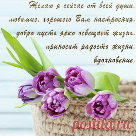 От души вас поздравляем,
Благ земных, тепла желаем!
Пусть душа всегда поёт,
Враг сторонкой обойдет.