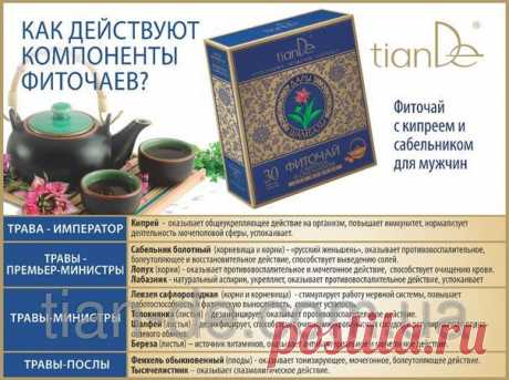 Фиточай с кипреем и сабельником для мужчин купить за 99 грн в Запорожье - TianDe