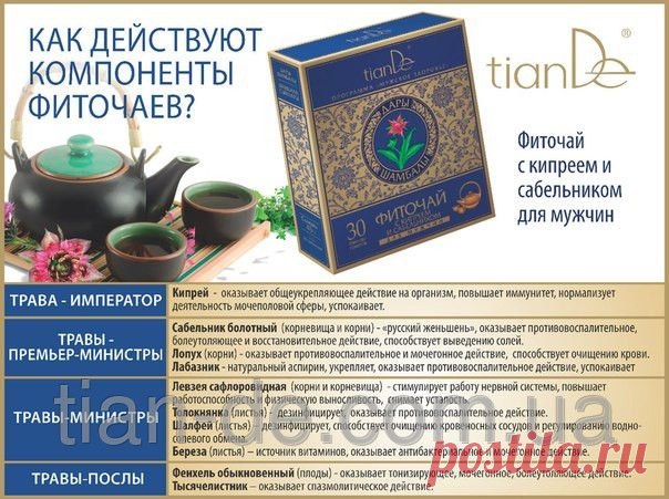 Фиточай с кипреем и сабельником для мужчин купить за 99 грн в Запорожье - TianDe