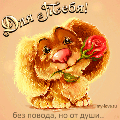 Без повода