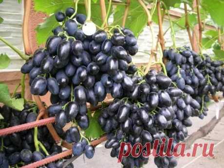 Лариса Решетникова - Google+