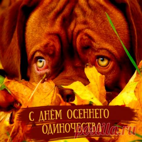 Желаю финансовой стабильности и исполнения самых заветных желаний! Открытки на День осеннего одиночества!