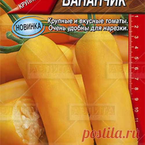 Купить Томат позднеспелый в г. Московская область. Семена