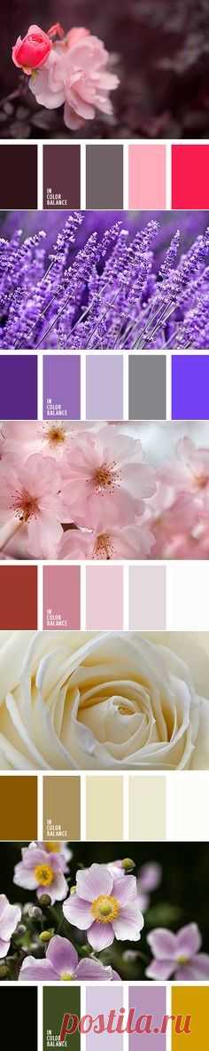In Color Balance on Pinterest