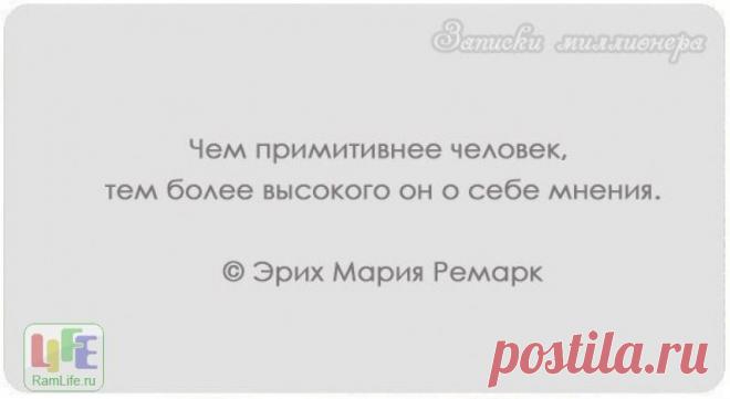 15484-41404399_800.jpg (800×438)