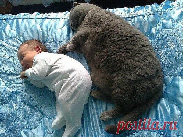 Детство с котом.
