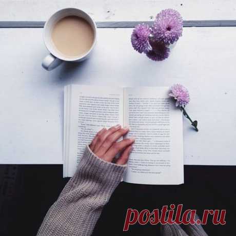 10 книг, которые читаются за одну ночь.

Держать читателя в постоянном напряжении и при этом рассказывать по-настоящему достойную историю — искусство, которым владеет далеко не каждый писатель. Но существуют такие книги, которые при небольшом объеме способны увлечь настолько, что весь мир отходит на второй план.

Диана Сеттерфилд — Тринадцатая сказка
Показать полностью…