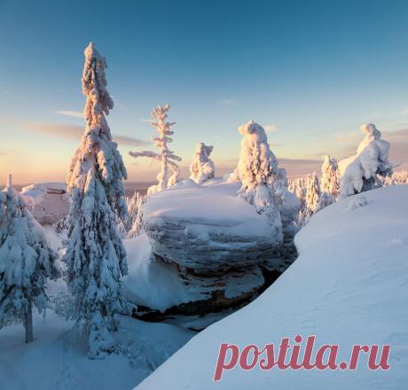 Новости