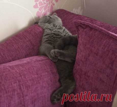 Мой Мир@Mail.Ru