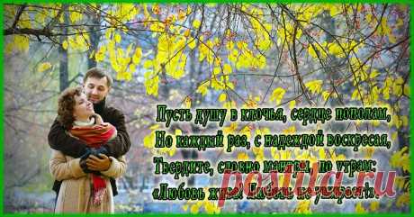 Открытка