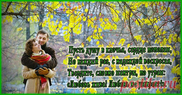 Открытка