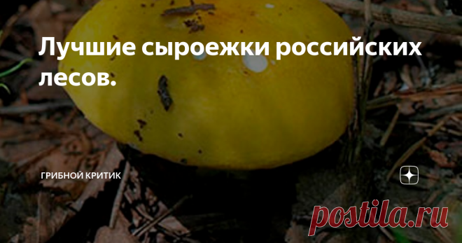Лучшие сыроежки российских лесов. Всем здравия и грибов полные корзины! А давайте поговорим сегодня о сыроежках? Нет, я не предлагаю обсудить их сходство между собой (об этом целую книгу можно написать!) или чем один вид сыроежек отличается от другого. Это работа для микологов, но их результаты вряд ли будут интересны обычному грибнику.
При всём многообразии ( а их десятки и десятки видов) сыроежек, есть несколько видов, отличающи