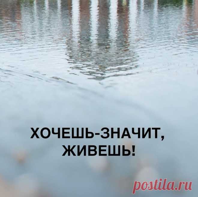Хочешь - значит, живешь! Нет такой женщины, которая бы сказала, что родила троих детей и все, жизнь полностью удалась. 

Или женщины - финансового директора на крупной фирме, которая едет с личным водителем на крутом мерседесе, и думает, что «никакой секс не сравнится с этими белыми кожаными сидениями, а то, что дома никто не ждет - не беда , в ресторан заеду»…