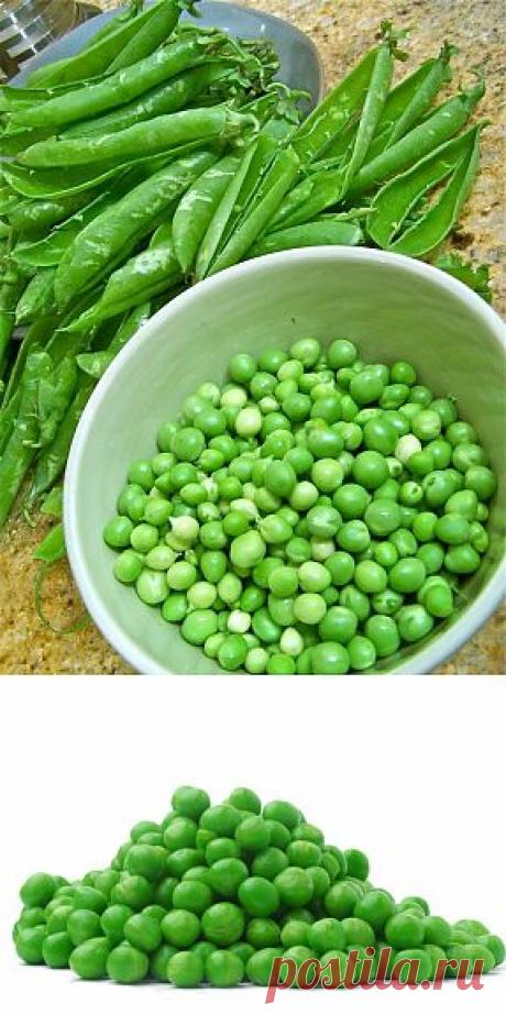 Консервирование зеленого горошка в домашних условиях. Важные советы