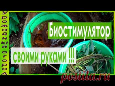 ►СУПЕР УДОБРЕНИЕ - БИОСТИМУЛЯТОР СВОИМИ РУКАМИ!!!