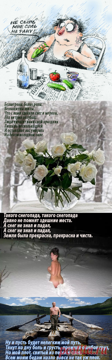 ГДЕ ТЫ, СВЕТКА СОКОЛОВА? | Блог ЛёрЫч (Валерий ЮрЬевич) | КОНТ