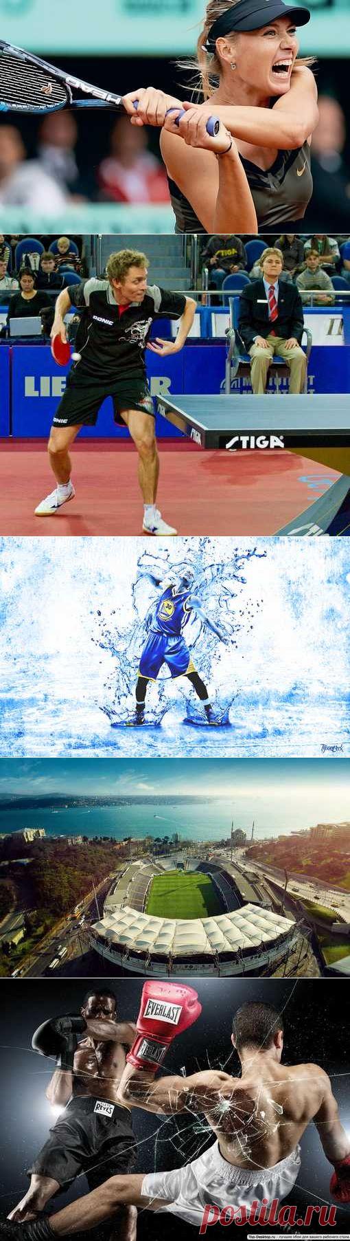 Современное пятиборье, Пляжный волейбол, Го, Серфинг. (1/1) - Спортивный форум. - Спортивный сайт