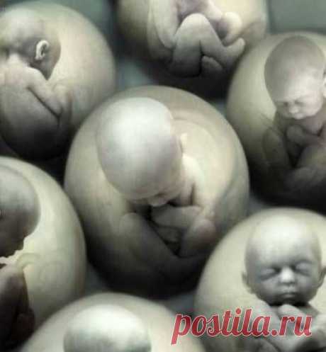 Искусственные люди древности, настоящего и будущего