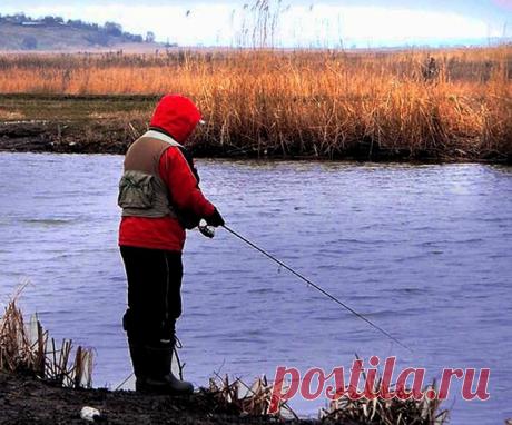 Дедовская тяжёлая блесна - самоделка для ноябрьской щуки | Рыбалка для людей | Яндекс Дзен