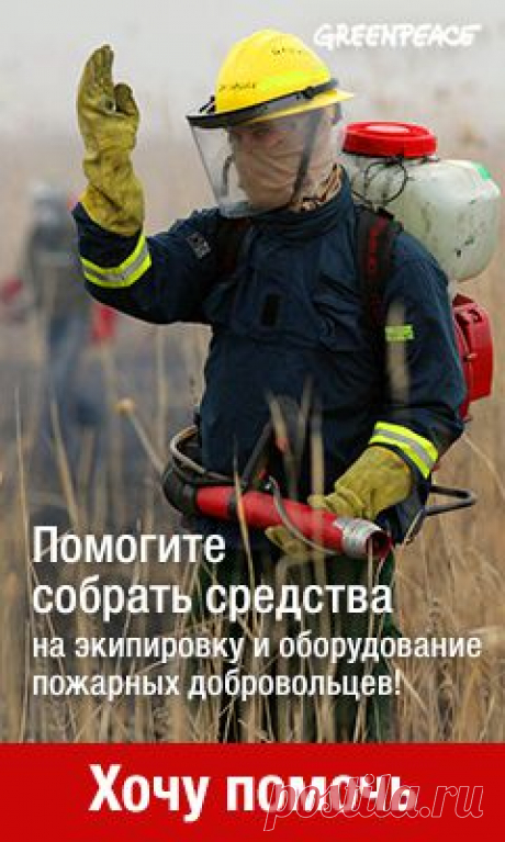 Рецепты для мультиварки Panasonic (home.cookery.multivarka) : Рассылка : Subscribe.Ru