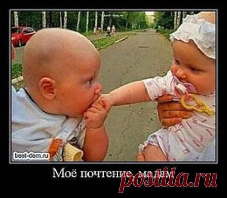 интересные фразы