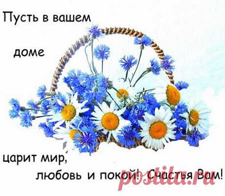 Добрых выходных! 🌼
У каждого дня свой аромат. Пусть сегодня пахнет счастьем!

Наша жизнь состоит из маленьких мгновений счастья! Поймал это мгновение – и радуйся жизни! Чудесного дня и много- много счастливых мгновений.От печали до радости одно лишь мгновение,
БУДЕТ ВСЁ ХОРОШО,наберитесь ТЕРПЕНИЯ❣️