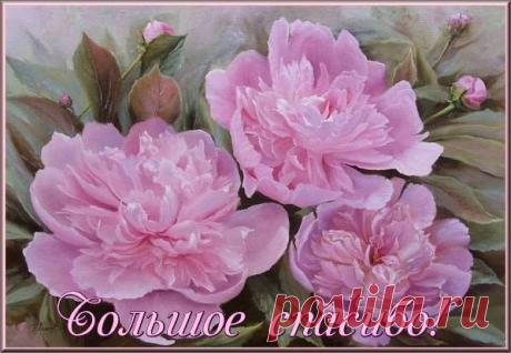 ОТКРЫТКИ ДЛЯ ВСЕХ СО СЛОВАМИ: СПАСИБО, БЛАГОДАРЮ, ПОЖАЛУЙСТА. - ОБЩЕНИЕ И ВСЕ САМОЕ ИНТЕРЕСНОЕ. - Группы Мой Мир