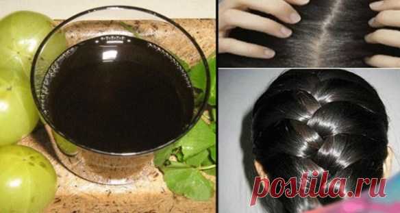 Нет больше краски для волос! Эта черная вода заставит исчезнуть седину навсегда! - Fav0rit77.ru Почему начинают расти седые волосы? Как вы становитесь старше, ваши волосяные фолликулы замедляют свою способность производить меланин, и это приводит к тому, волосы превращаются в белые или серые....