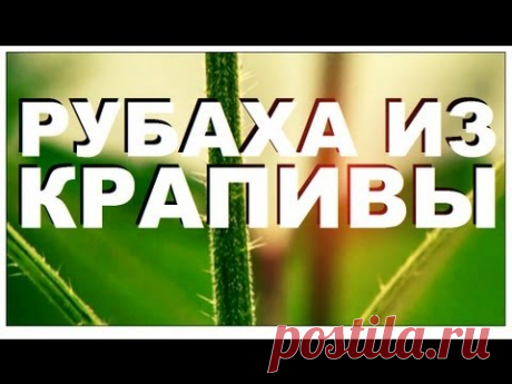 Галилео. Рубаха из крапивы