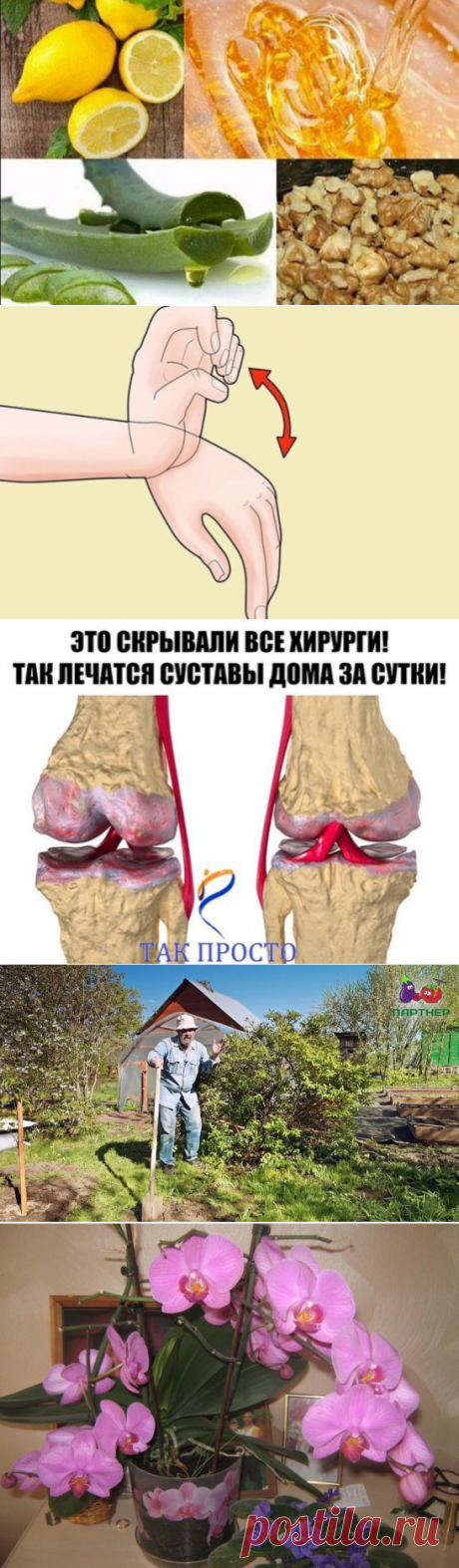 (83) Одноклассники